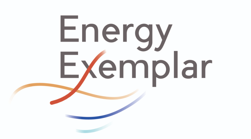 Energy Exemplar logo with the brand name and colorful swoosh curves in orange red blue and teal